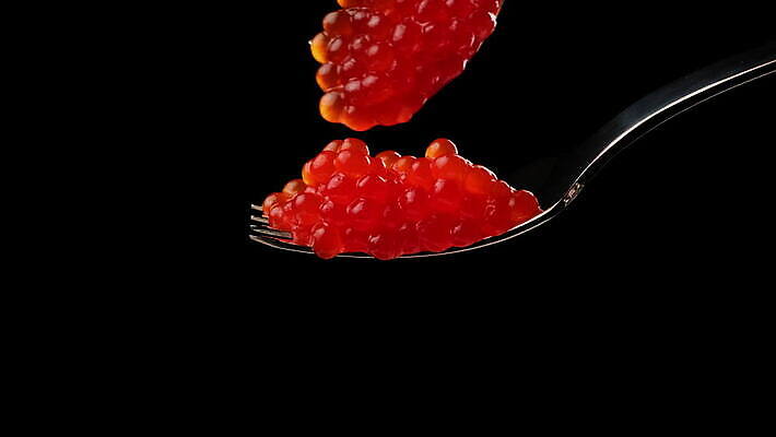 음식 포크 재료 사람없음 빨간색 검은색 식사 신선 고급 먹기 해산물 날것 연어 캐비아 맛있는 4K MOV 해외동영상 클립영상 식기 컬러 컨셉 식재료 모션 어류 동영상 파일형식