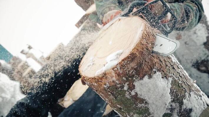 나무 직업 디자인 산업 포즈 자연 안내 사람 사람없음 목재 힘 장비 공구 소나무 업무 작업 휘발유 숲 장작 자르기 천 통나무 먼지 엔진 잡동사니 벌목 수목 전기톱 톱밥 MOV 해외동영상 클립영상 식물 재료 모션 도구 직물 석유 가루 생태계 톱 동영상 파일형식