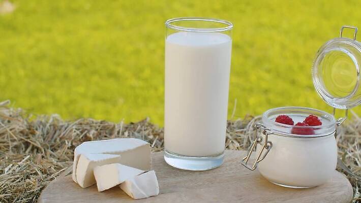 라이프스타일 음료 음식 유리 치즈 주택 건조 도마 건강 사람없음 야외 목재 마을 정원 맑음 우유 흰색 신선 닫기 볏짚 아침식사 상품 유기농 산딸기 요거트 내추럴 칼슘 4K MOV 해외동영상 클립영상 나무 웰빙 컬러 과일 재료 모션 재질 주방용품 날씨 유제품 건물 생활 식사 짚 동영상 파일형식