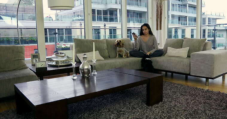 동물 라이프스타일 여자 창문 잉글랜드 아파트 실내 한명 성인 30대 반려동물 인테리어 가축 개 런던 시티라이프 성인여자만 4K MOV 해외동영상 클립영상 1 디자인 포유류 영국 주택 사람 내부 생활 장년 동영상 여자만 성인만 파일형식