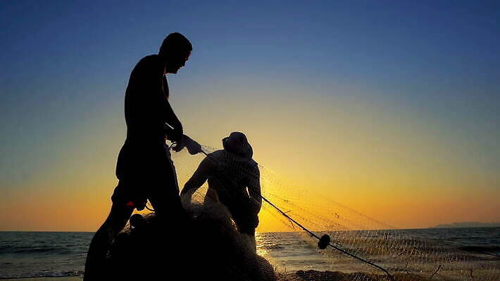 전통 라이프스타일 계절 실루엣 아시아 호수 모래 여행 백그라운드 태국 자연 하늘 성공 아침 낚시 어류 사람 동양인 사람없음 야외 물 빛 강 일출 일몰 잡기 업무 그물 당기기 농부 가난 어부 베트남 낚시꾼 캄보디아 미얀마 알바니아 스타일 4K MOV 해외동영상 클립영상 주간 자연요소 직업 나라 컨셉 모션 레저 촬영기법 인종 생활 노을 동남아시아 수중동물 작업 생태계 동영상 파일형식 남유럽