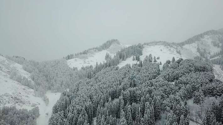 나무 도로 여행 백그라운드 크리스마스 겨울 자국 자연 날씨 새해 산 안테나 사람없음 야외 냉동 추위 안개 흰색 나뭇가지 소나무 정상 숲 언덕 서리 전나무 흐림 눈보라 항공촬영 드론 제설기 카자흐스탄 눈내림 가문비나무 4K 알마티 MP4 해외동영상 클립영상 식물 계절 기념일 아시아 길 뷰포인트 컬러 통신 교통시설 눈_날씨 생태계 동영상 제설 파일형식