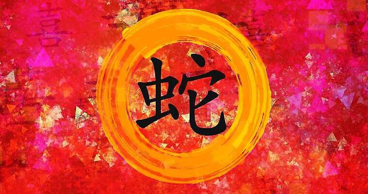 동물 포스터 백그라운드 컨셉 캘리그라피 벽지 추상 동양인 사람없음 빨간색 중국 페인트 수확 기록 그리기 뱀 고리 황금 예측 심볼 사인 질감 점성술 동쪽 서명 그런지 마케팅 타격 춘절 4K MP4 해외동영상 클립영상 명절 아시아 컬러 무늬 농업 파충류 모션 인종 방향 중국전통 동영상 파일형식