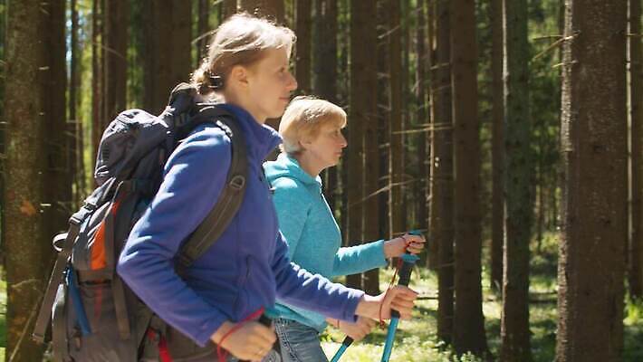 백인 라이프스타일 여자 중년 여행 배낭 청소년 휴가 건강 풍경 야외 두명 여름 태양 여행객 걷기 맑음 트래킹 하이킹 자유 숲 하이커 4K MP4 해외동영상 클립영상 자연요소 서양인 계절 컨셉 가방 모션 레저 날씨 사람 성인 생활 동영상 파일형식