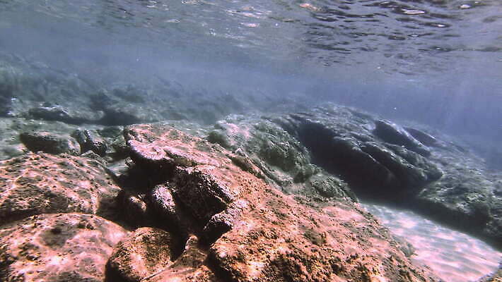 동물 야생동물 바다 컬러 여행 백그라운드 자연 멕시코 어류 사람없음 빨간색 물 여름 파란색 빛 햇빛 태양 뷰티 수중 수영 광선 동굴 산호 아래 사진사 생태계 다이빙 장면 암초 깊이 칸쿤 4K 수중영상 MOV 해외동영상 클립영상 자연요소 계절 북아메리카 수중동물 수상스포츠 자포동물 방향 작가 위치 동영상 수중스포츠 파일형식