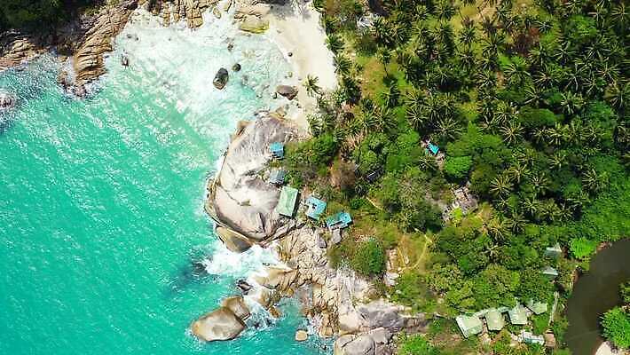 주간 나무 바다 사람없음 4K MP4 해외동영상 클립영상 자연요소 식물 동영상 파일형식