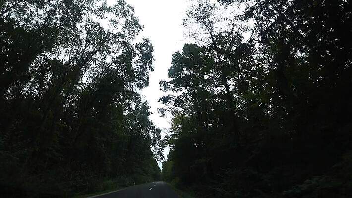 나무 구름 도로 스포츠 컨셉 밭 교통시설 자동차 자연 하늘 안테나 사람없음 초록색 여름 파란색 햇빛 갈색 환경 어둠 운전 시골 저녁 숲 아스팔트 속도 러시아 조심 항공촬영 드론 땅바닥 파멸 MOV 해외동영상 클립영상 자연요소 식물 계절 유럽 길 육상교통 뷰포인트 컬러 교통 농업 통신 모션 바닥 태양 야간 시설 생태계 동영상 파일형식 소멸