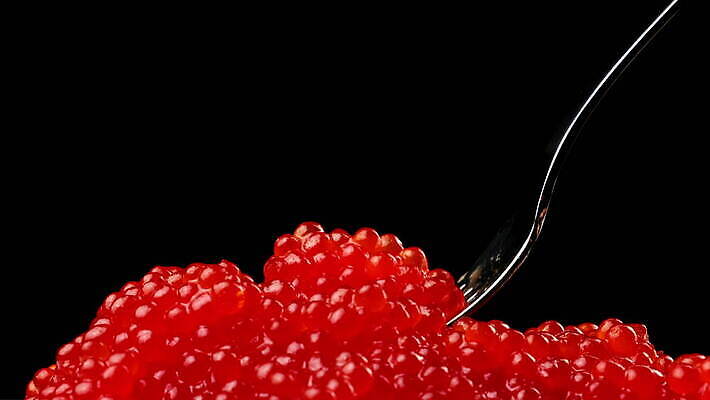 음식 포크 재료 건강 어류 사람없음 빨간색 검은색 식사 신선 고급 맛 아침식사 해산물 날것 연어 점심식사 절임 짠맛 맛있는 4K MOV 해외동영상 클립영상 식기 컬러 컨셉 수중동물 동영상 파일형식