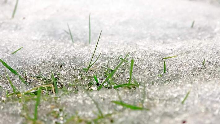 식물 계절 얼굴 꽃다발 자연 바람 휴식 풍경 사람없음 초록색 물 농장 환경 펼침 젖음 성장 바위 녹음 시간 구멍 그리기 개울 숲 싱글 염색 스노드롭 처음 4K 타임랩스 MP4 해외동영상 클립영상 자연요소 꽃 컬러 컨셉 농업 모션 날씨 촬영기법 신체부위 강 기록 생태계 동영상 파일형식