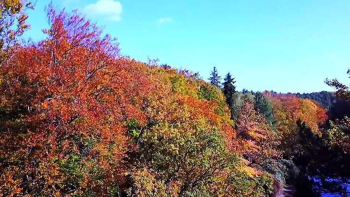 나무 구름 공원 유럽 호수 여행 단풍 건축양식 자연 독일 풍경 사람없음 야외 물 컬러풀 태양 반사 가을 바위 연못 원형 역사 숲 악마 진달래 아치 사암 동영상 랜드마크 옛날 MOV 해외동영상 클립영상 자연요소 도형 식물 계절 공공시설 건축 꽃 나라 컬러 잎 돌_바위 생태계 파일형식