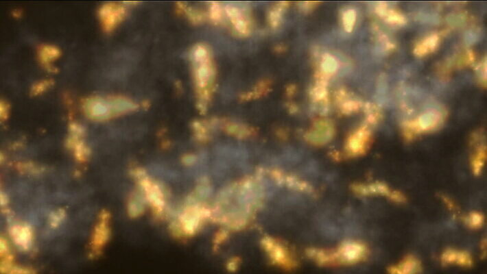 포즈 백그라운드 불 불꽃 사람없음 뜨거움 연기 위험 폭발 매움 화재 화산 상승 먼지 용암 연소 재 지옥 지진 화상 효과 MOV 해외동영상 클립영상 자연요소 컨셉 산 맛 상처 자연재해 사건 동영상 파일형식