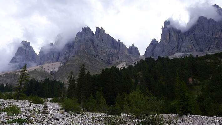나무 유럽 여행 백그라운드 자연 벽지 산 파노라마 풍경 초원 사람없음 초록색 여름 산타클로스 마을 일출 계곡 봄 이탈리아 하이킹 가을 시골 숲 알프스 동영상 남쪽 하이커 4K MOV 해외동영상 클립영상 식물 계절 나라 컬러 크리스마스 레저 촬영기법 노을 방향 생태계 파일형식