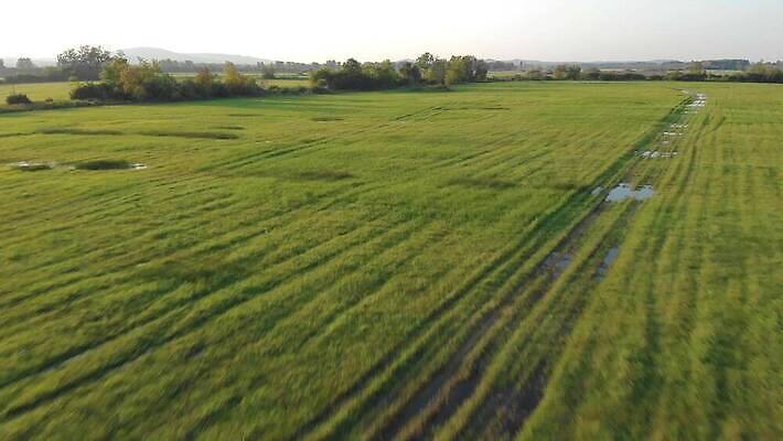 지구 이동 모션 자연 안테나 사람없음 초록색 하이앵글 햇빛 농장 농경지 일출 침묵 자유 시골 속도 심플 헝가리 과속 드론 밭일 위도 조감도 목가 4K MP4 해외동영상 클립영상 뷰포인트 컬러 컨셉 농업 통신 태양 노을 소리 생태계 동영상 동유럽 파일형식