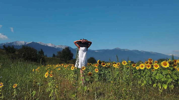 모자 라이프스타일 손 계절 여자 꽃 행복 백그라운드 꽃무늬 밭 모션 자연 해바라기 풍경 여름 햇빛 태양 노란색 걷기 맑음 산책 시골 화려 우아함 회전 장면 4K MOV 해외동영상 슬로모션 클립영상 자연요소 식물 잡화 감정 컬러 컨셉 무늬 농업 날씨 휴식 촬영기법 사람 생활 신체부위 생태계 동영상 파일형식