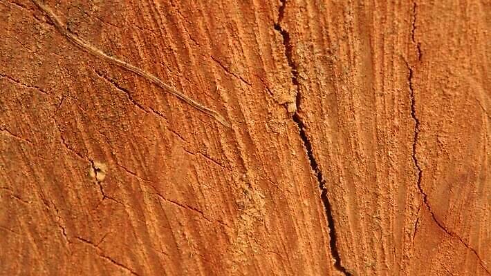 디자인 가구 백그라운드 건축양식 자연 날씨 건조 건설업 사람없음 목재 장식 환경 페인트 골동품 시골 소나무 거친 피부 유기농 목공예 시들음 지질학 콘크리트 합판 카피스페이스 비어있는 MP4 해외동영상 클립영상 나무 웰빙 교육 건축 산업 생활용품 재료 신체부위 공백 공예 생태계 동영상 파일형식