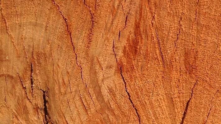 디자인 가구 백그라운드 건축양식 자연 날씨 추상 건조 건설업 사람없음 목재 환경 페인트 수확 골동품 시골 소나무 거친 피부 유기농 시들음 콘크리트 합판 카피스페이스 비어있는 MP4 해외동영상 클립영상 나무 웰빙 건축 산업 생활용품 무늬 농업 재료 신체부위 공백 생태계 동영상 파일형식