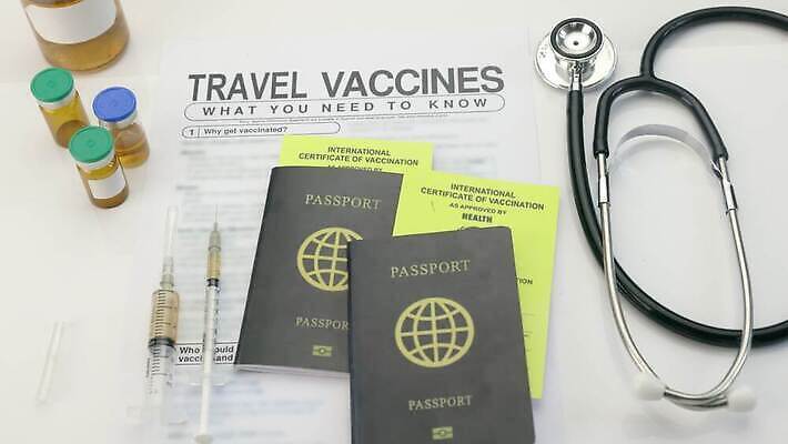 해외 유럽 여행 휴가 건강 사람 사람없음 세계 약 노란색 건강관리 의사 질병 공항 서식 문서 여권 신분 증거 승객 주사약 통과 돌봄 백신 승인 예방접종 유럽연합 증명서 표준 이민 제공자 코로나바이러스 4K MOV 해외동영상 클립영상 나라 컬러 이동 의학 교통시설 모션 관리 의료진 바이러스 동영상 접종 파일형식