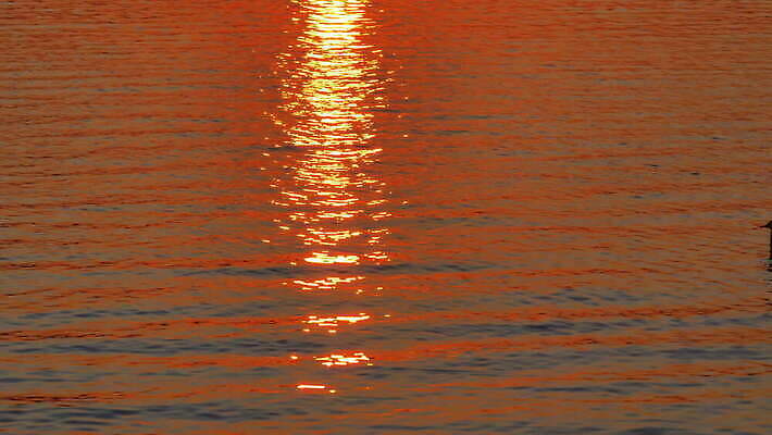 호수 물결 선 파도 바다 컬러 여행 백그라운드 오렌지 상상 자연 하늘 휴식 그림자 풍경 사람없음 가로 빨간색 물 여름 파란색 빛 햇빛 태양 반사 노란색 평화 일출 침묵 황혼 일몰 새벽 흐름 액체 황금 매끈함 저녁 부드러움 폭풍 잔물결 4K MOV 해외동영상 클립영상 자연요소 계절 컨셉 과일 날씨 노을 소리 감각 야간 생태계 동영상 파일형식
