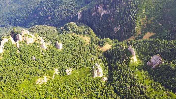 나무 식물 계절 공원 여행 백그라운드 패턴 자연 산 안테나 파노라마 풍경 사람없음 야외 옆모습 초록색 여름 빛 환경 봄 가을 시골 신선 소나무 정상 숲 땅 질감 장면 지역 상록수 침엽수 전나무 루마니아 내추럴 항공촬영 드론 4K MP4 해외동영상 클립영상 공공시설 유럽 뷰포인트 컬러 무늬 통신 촬영기법 생태계 동영상 파일형식