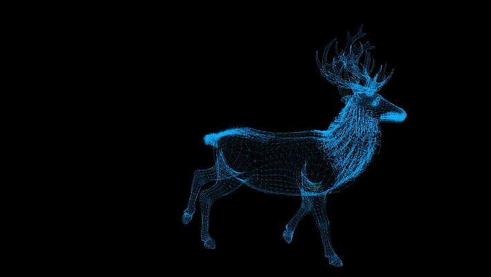 동물 공원 야생동물 포즈 백그라운드 포유류 모션 자연 사슴 뿔 미술 사람없음 야외 달리기 점프 흰색 우아함 사파리 속도 생물학 영양 애니메이션 가젤 고립 동물상 전국 와이어프레임 효과 MOV 해외동영상 클립영상 공공시설 교육 컬러 컨셉 문화예술 조형물 생태계 동영상 파일형식