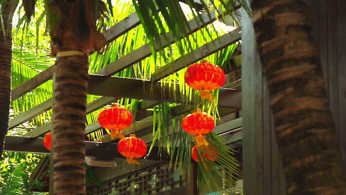 나무 전통 행복 아시아 종교 종이 문화 백그라운드 새로움 거리 주택 매달리기 손바닥 미술 동양인 이벤트 사람없음 야외 건물 장식 빨간색 빛 야자수 여행객 일본 축제 중국 등불 램프 축하 인사 사찰 원형 행운 야간 연도 배열 심볼 흔들림 타운 동쪽 앞머리 많음 MOV 해외동영상 클립영상 자연요소 도형 식물 헤어스타일 건축물 손 감정 나라 컬러 컨셉 종교건축 모션 문화예술 조명 사람 인종 예절 도시 방향 동영상 파일형식