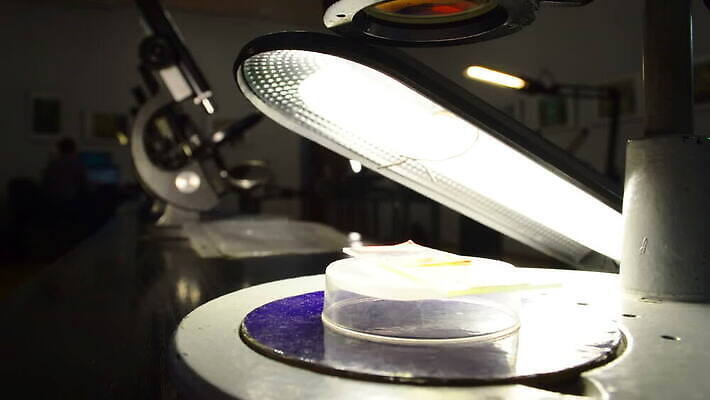 산업 과학 유리 병원 현미경 실험 사람없음 스터디 약 장비 기구 공구 기술자 실험실 확대 생명공학 분석 생물학 미생물 박테리아 발견 면역력 물리학 광학 MOV 해외동영상 클립영상 직업 교육 컨셉 의학 재질 생물 실험기구 학습 도구 동영상 물리 파일형식