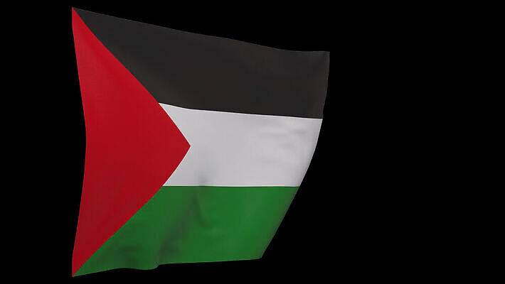 배너 물결 사람없음 깃발 애국심 전국 팔레스타인 4K MOV 해외동영상 클립영상 중동 동영상 파일형식