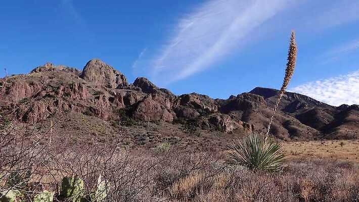 식물 공원 여행 자연 산 선인장 건조 파노라마 풍경 사람없음 빨간색 파란색 골짜기 계곡 미국 사막 보호 저녁 큼 사인 장면 지역 애리조나 전국 4K MP4 해외동영상 클립영상 공공시설 컬러 컨셉 북아메리카 촬영기법 야간 크기 생태계 동영상 파일형식
