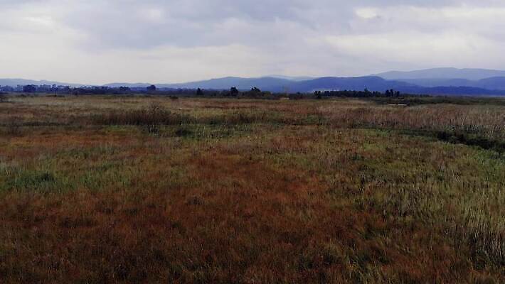 나무 식물 계절 잎 자연 하늘 안테나 사람없음 야외 초록색 물 환경 안개 만 습지 지중해 관목 언덕 흔들림 서식지 창백 드론 파스텔톤 4K MP4 해외동영상 클립영상 자연요소 바다 컬러 통신 모션 날씨 생태계 동영상 파일형식