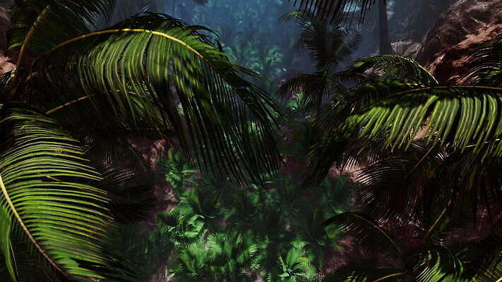 식물 여행 백그라운드 잎 자연 파노라마 풍경 사람없음 야외 여름 야자수 일출 환경 맑음 봄 숲 파라다이스 4K MOV 해외동영상 클립영상 나무 계절 날씨 촬영기법 노을 생태계 동영상 파일형식