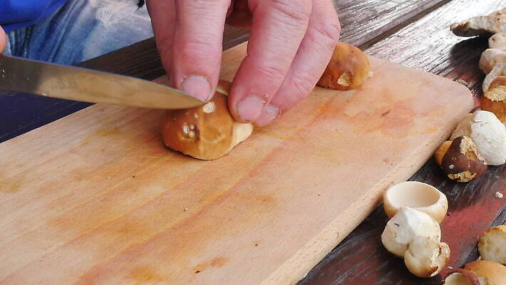 라이프스타일 식기 계절 조각 백그라운드 채소 재료 부분 손가락 탁자 건강 요리 사람 성인 갈색 주방 요리사 식사 저녁식사 버섯 흰색 신선 칼 맛 자르기 준비 날것 나누기 곰팡이 그물버섯 식용 4K MOV 해외동영상 클립영상 직업 손 컬러 가구 컨셉 모션 생활 수학 동영상 사칙연산 파일형식