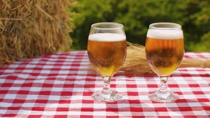 음료 음식 자연 유리 맥주 씨앗 사람없음 야외 초록색 여름 마을 정원 식사 거품 시골 알코올 신선 황금 닫기 볏짚 낟알 밀 삼베 유기농 날것 보리 귀 내추럴 작살 호밀 4K MOV 해외동영상 클립영상 식물 웰빙 계절 컬러 모션 재질 곡류 주류 신체부위 짚 생태계 동영상 파일형식 천_직물