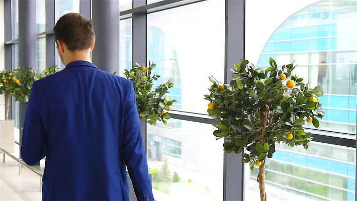 해외 라이프스타일 남자 여행 비즈니스 창문 교통시설 모바일 휴가 비행기 건강 한명 성인 스마트폰 알약 여행객 도시 시간 업무 비즈니스맨 휴게실 기다림 티켓 공항 도착 출발 승객 대패 수하물 착륙 체크인 터미널 MOV 해외동영상 클립영상 1 교통 컨셉 항공교통 모션 대중교통 사람 생활 핸드폰 스마트기기 약 작업 직장인 시설 동영상 파일형식