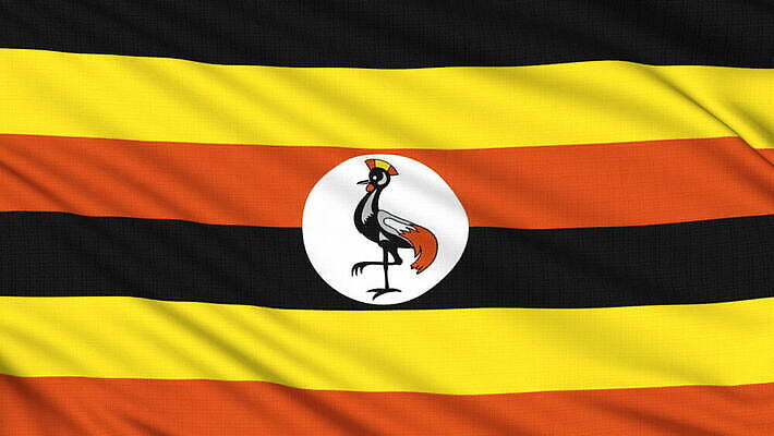 디자인 배너 문화 파도 여행 인터넷 비즈니스 바람 사람없음 그래픽 세계 글로벌 지구본 스크린 축하 깃발 직물 우아함 선거 가득함 심볼 오브젝트 싱글 질감 심플 애국심 서쪽 우간다 정부 진짜 키패드 효과 HD MOV 해외동영상 클립영상 자연요소 바다 컨셉 아프리카 날씨 민주주의 방향 동영상 파일형식