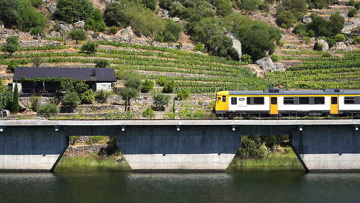 유럽 여행 모션 자연 사람없음 야외 옆모습 초록색 골짜기 계곡 기차 시골 크루즈 포르투갈 언덕 포도나무 마차 계단식 추적 도루강 선로 양조장 4K MOV 해외동영상 클립영상 나라 육상교통 교통수단 뷰포인트 컬러 배_교통 대중교통 과일나무 생태계 동영상 파일형식