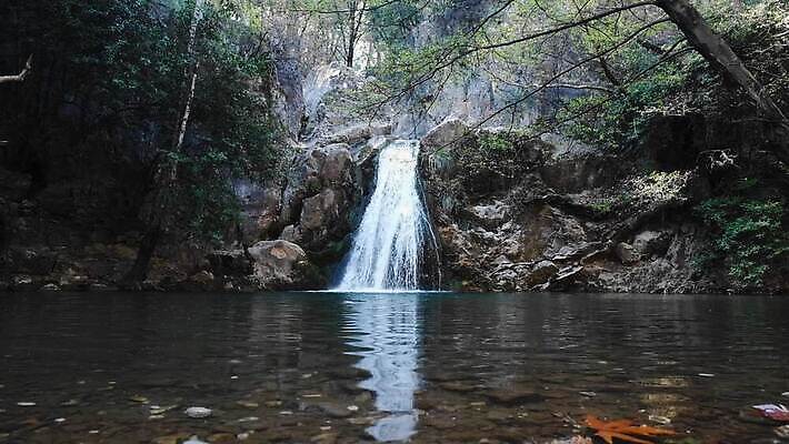 나무 공원 여행 백그라운드 자연 산 풍경 사람없음 초록색 물 여름 강 환경 봄 폭포 흐름 개울 숲 칠면조 내추럴 HD MP4 해외동영상 클립영상 자연요소 식물 계절 공공시설 컬러 컨셉 조류 생태계 동영상 파일형식