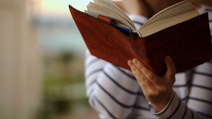 손 응시 여자 생각 바람 휴식 한명 미소 사람 취미 야외 책 독서 잡기 MOV 해외동영상 클립영상 자연요소 1 시선 컨셉 모션 날씨 표정 신체부위 동영상 파일형식