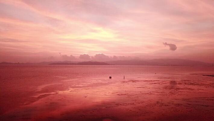 유럽 섬 백그라운드 자연 조류 휴가 사람없음 야외 파란색 태양 시골 뜨거움 보트 오두막 썰물 질감 진흙 해일 수평선 4K MOV 해외동영상 클립영상 자연요소 동물 나라 바다 컬러 배_교통 자연재해 생태계 동영상 파일형식