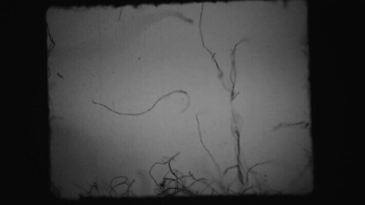 디자인 조각 백그라운드 회색배경 추상 프레임 미술 사람없음 카메라 스크린 검은색 소리 공백 손상 수확 흰색 거친 고리 미끄럼틀 낟알 필름 향수 그림 질감 복고 먼지 덮기 스크래치 영사기 감싸기 그런지 부정적 옛날 국경 효과 비어있는 4K 인트로 MOV 해외동영상 클립영상 감정 컬러 컨셉 무늬 농업 모션 문화예술 전자제품 화장품 회색 놀이기구 동영상 파일형식