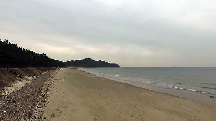 나무 선 모래 파도 바다 여행 백그라운드 자연 휴가 휴식 한국 손바닥 사람없음 야외 건물 초록색 물 파란색 여행객 평화 침묵 흰색 고도 태평양 항공촬영 드론 비어있는 4K MOV 해외동영상 클립영상 자연요소 식물 건축물 손 아시아 뷰포인트 컬러 컨셉 사람 소리 생태계 동영상 파일형식