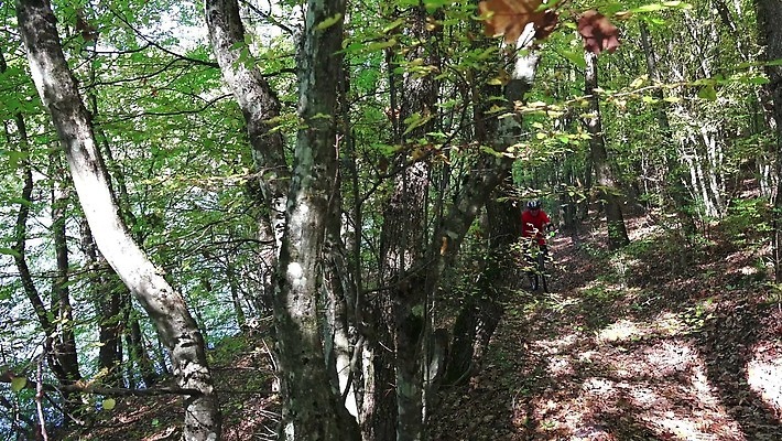 라이프스타일 남자 스포츠 포즈 자국 모션 자연 산 사람 경사 야외 운동 자전거 점프 경쟁 승차 숲 헬멧 속도 순환 사이클링 바이크레이서 바이킹 산악자전거 4K MP4 해외동영상 클립영상 컨셉 건강 생활 바이크 보호장비 육상스포츠 생태계 동영상 파일형식