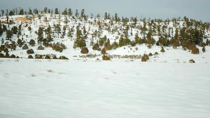 도로 여행 겨울 창문 자동차 자연 산 항해 사람없음 옆모습 빨간색 계곡 미국 운전 자유 황무지 분위기 땅 인도인 탈출 지역 애리조나 루트 방법 시온산 자동 수평선 4K MP4 해외동영상 클립영상 외국인 계절 길 육상교통 뷰포인트 컬러 컨셉 북아메리카 배_교통 교통시설 모션 동양인 생태계 동영상 파일형식