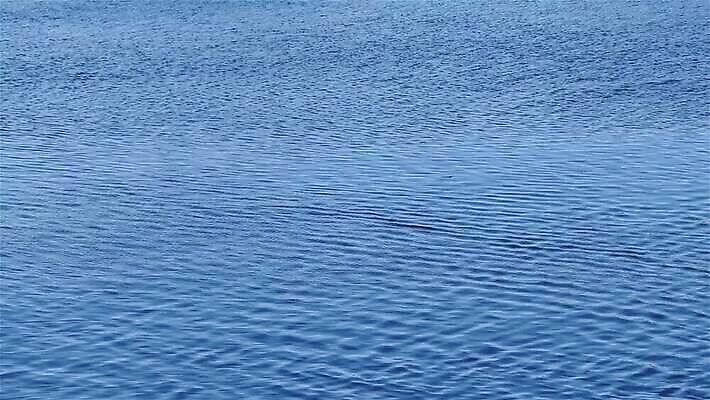 물결 파도 바다 컬러 백그라운드 패턴 모션 자연 벽지 표면 날씨 추상 사람없음 물 파란색 강 젖음 흰색 액체 질감 내추럴 MP4 해외동영상 클립영상 자연요소 무늬 생태계 동영상 파일형식