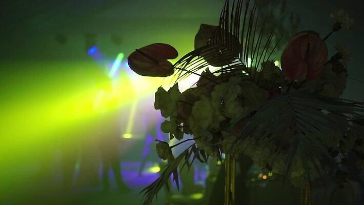 라이프스타일 여자 남자 행복 실루엣 음악 모션 휴가 기념 함께함 사람 이벤트 사람없음 빛 파티 콘서트 공연 댄서 무대 축하 춤 바 화려 그룹 연기 군중 야간 클럽 디스코 긍정 유흥 MOV 해외동영상 클립영상 자연요소 직업 감정 컨셉 문화예술 촬영기법 생활 동영상 파일형식