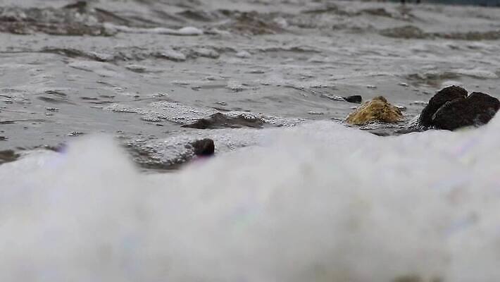 산업 호수 백그라운드 자연 사람없음 야외 물 강 환경 액체 개울 오염 지저분함 쓰레기 폐기물 파편 위험 플라스틱 버리기 부식 생태계 질감 파이프 낭비 생태학 소금물 취급주의 폐수 4K MP4 해외동영상 클립영상 자연요소 교육 컨셉 모션 재질 경고 감각 환경오염 동영상 파일형식