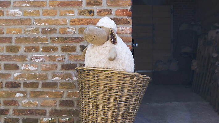 벽 사람없음 야외 장난감 바구니 흰색 원형 네덜란드 합성 기념품 부드러움 솜털 양인형 4K MOV 해외동영상 클립영상 도형 유럽 인형 컬러 감각 오브젝트 동영상 파일형식