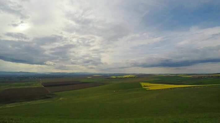 식물 구름 계절 꽃 밭 농업 자연 하늘 날씨 안테나 파노라마 씨앗 풍경 초원 사람없음 야외 초록색 여름 파란색 농작물 농장 환경 농사 자유 성장 시골 시간 땅 언덕 장면 지역 천국 내추럴 방법 밭일 수평선 세련 4K 타임랩스 MP4 해외동영상 클립영상 자연요소 산업 컬러 컨셉 통신 촬영기법 생태계 동영상 파일형식