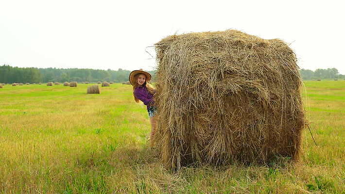 모델 응시 여자 행복 얼굴 포즈 백그라운드 셔츠 밭 한명 사람 야외 10대 농장 농경지 유행 쌓기 카메라 마을 수확 시골 소 카우보이 건초더미 볏짚 체크무늬 카우보이모자 밀짚 밭일 서쪽 4K MOV 해외동영상 클립영상 모자_잡화 1 시선 감정 상의 무늬 농업 포유류 모션 청소년 신체부위 전자제품 건초 짚 방향 동영상 파일형식 더미