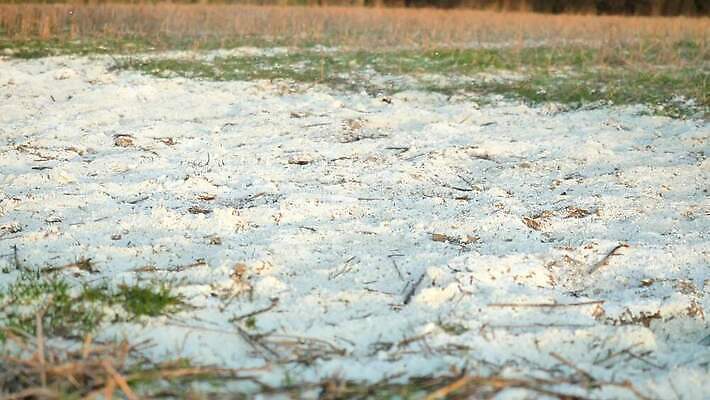 동물 길 줄기 밭 발 사람없음 달리기 자유 승마 닫기 킥 속도 먼지 수의사 그런지 땅바닥 방목장 양발 편자 4K MOV 해외동영상 클립영상 식물 스포츠 컨셉 농업 모션 바닥 신체부위 의사 동영상 말발굽 파일형식