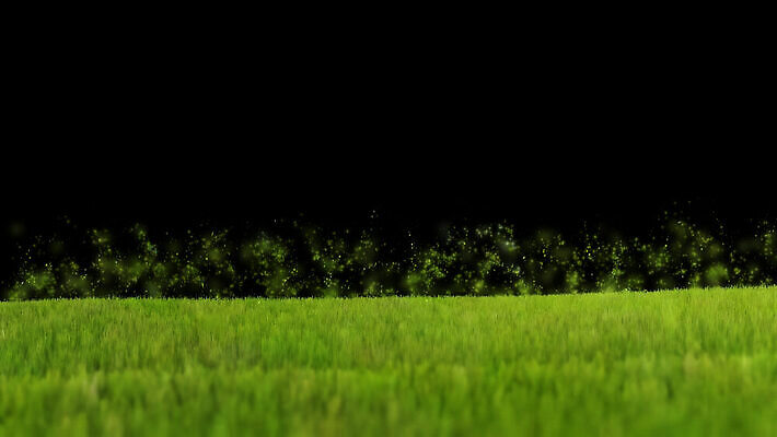 식물 구름 계절 백그라운드 밭 자연 하늘 바람 풍경 잔디 초원 사람없음 야외 초록색 파란색 컬러풀 햇빛 태양 3D 환경 활발 성장 흰색 시골 신선 땅 질감 활기 애니메이션 내추럴 고립 생태학 타임랩스 MOV 해외동영상 클립영상 자연요소 교육 컬러 컨셉 농업 날씨 촬영기법 디지털합성 생태계 동영상 파일형식